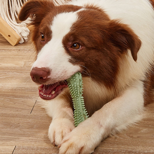 Durable & Safe Dog Chew Toy