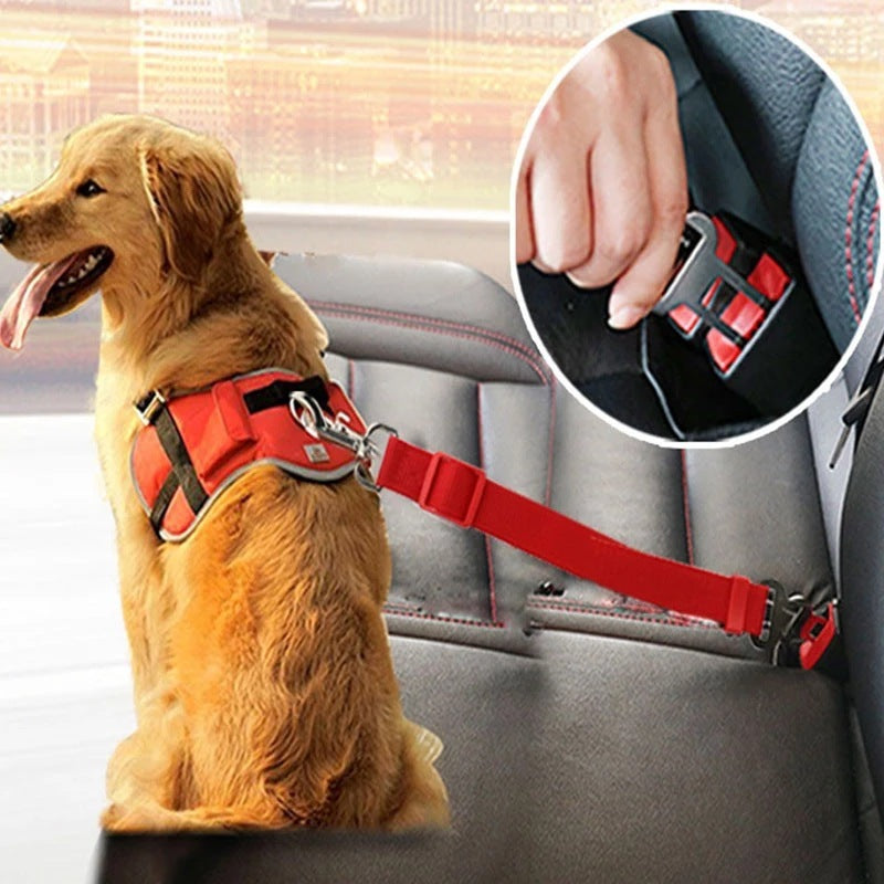 Pet Car Leash