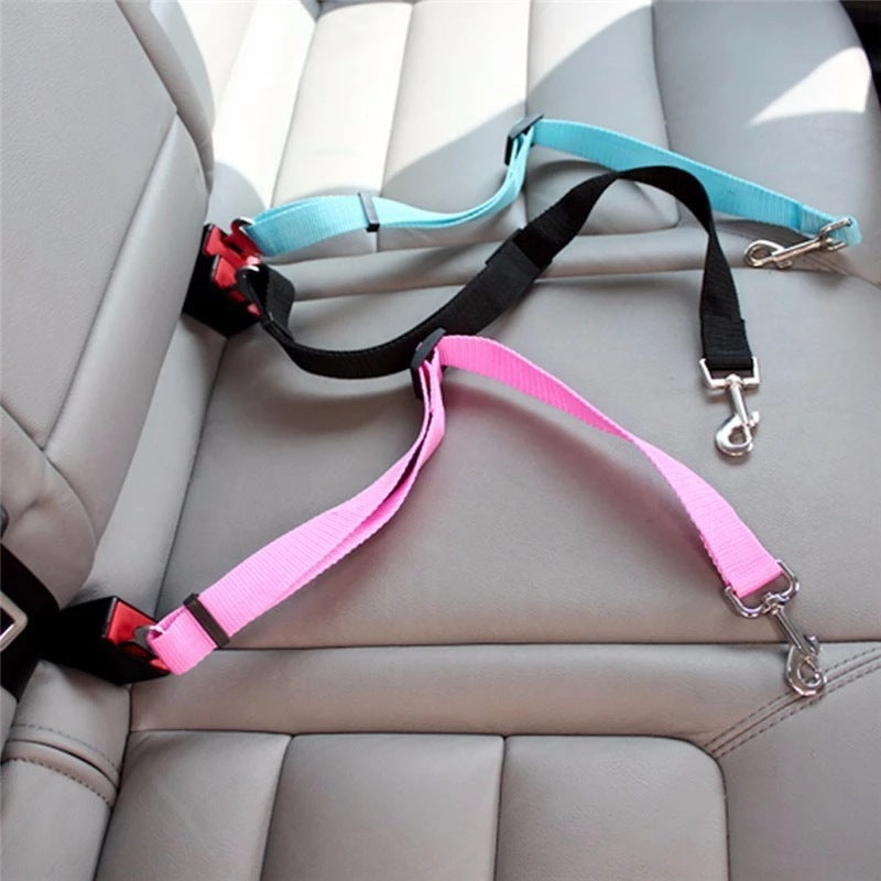 Pet Car Leash