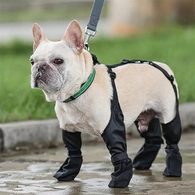 Waterproof Dog Shoes