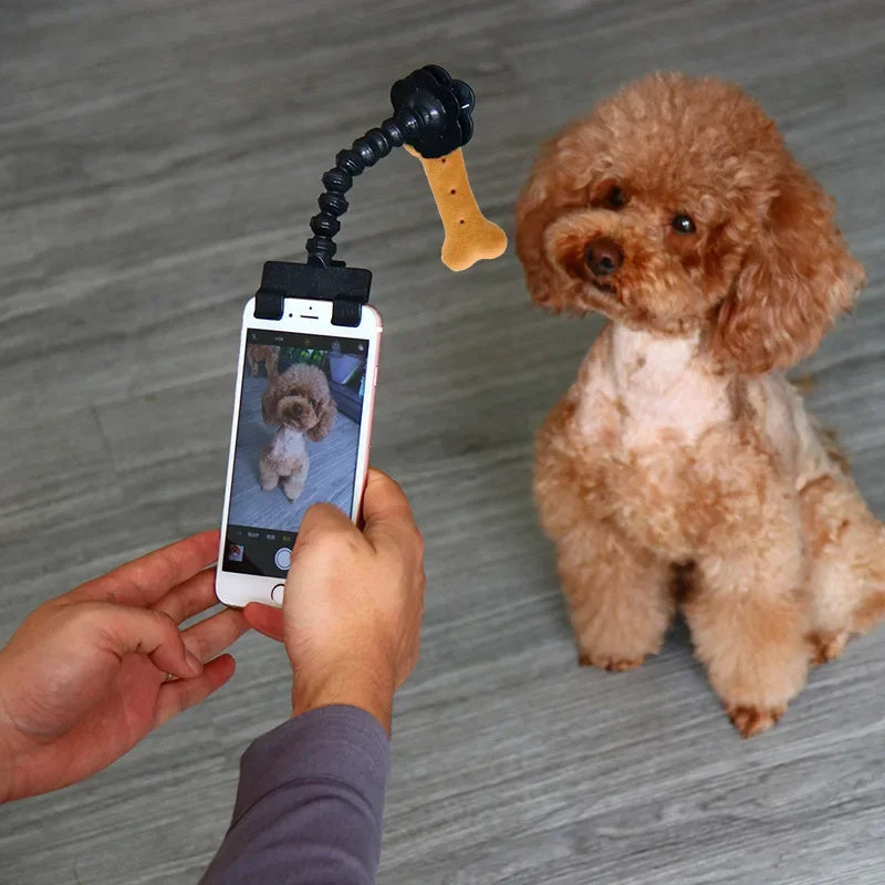 Pet Photography Tool