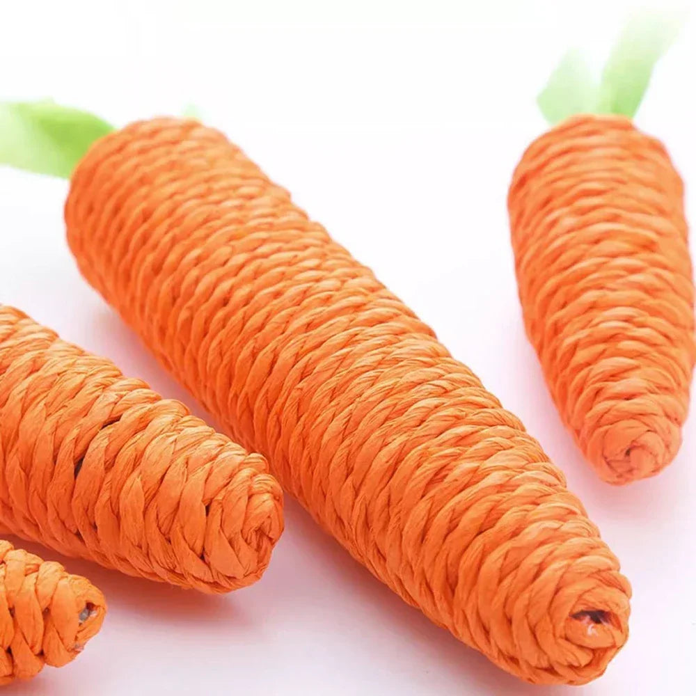 Fake Carrot Toy