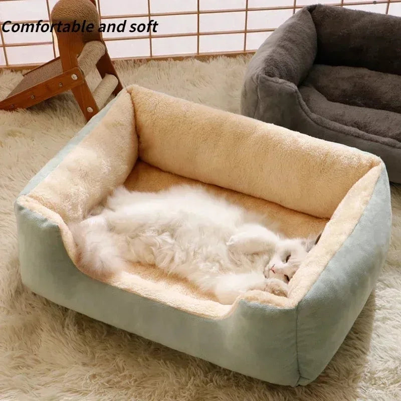 Plush Bed