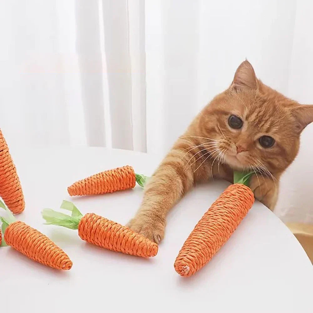 Fake Carrot Toy