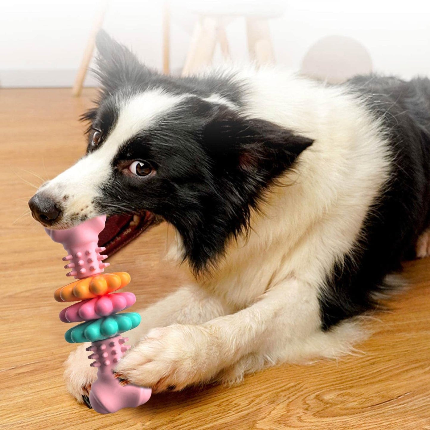 Dog Bone Toy