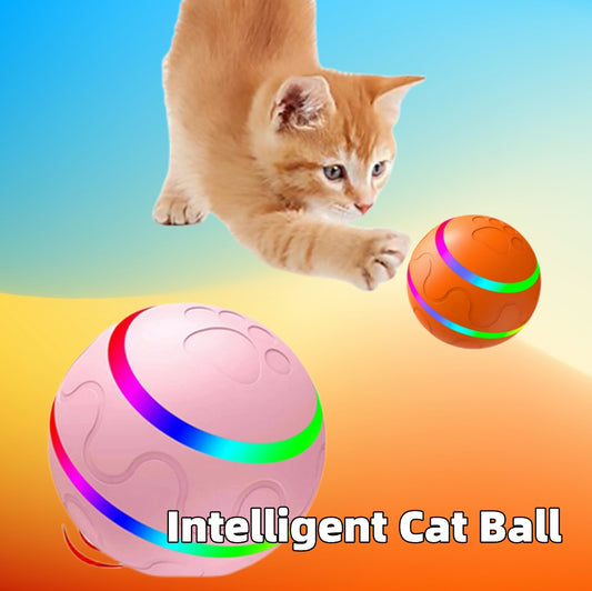 Pet Wicked Ball Toy