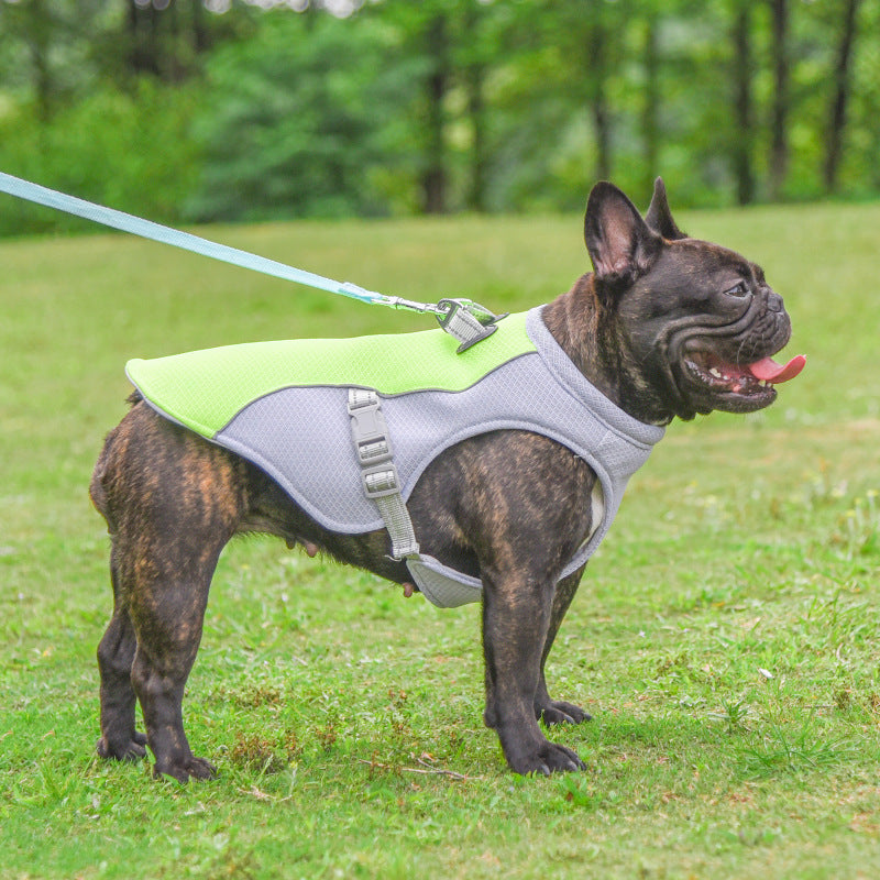 Pet Cooling Vest