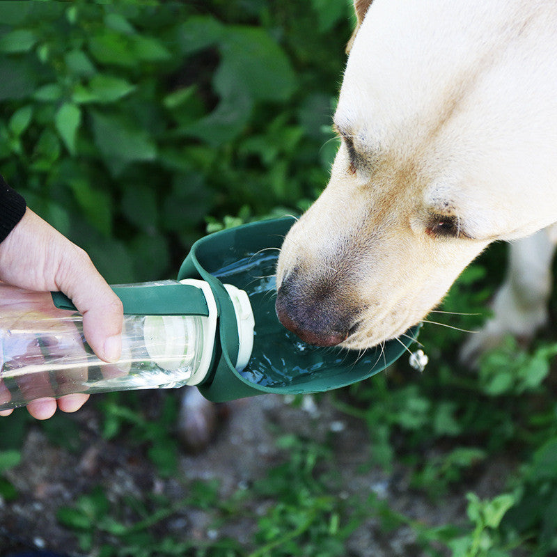 2 In 1 Pet Water Bottle